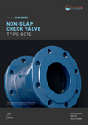 NON-SLAM CHECK VALVE TYPE 8015 NON-SLAM CHECK VALVE TYPE 8015